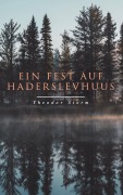 Cover-Bild zum Titel 'Ein Fest auf Haderslevhuus' von 'Theodor Storm'