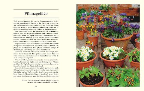 InsideView 4