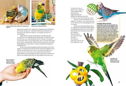 InsideView 4