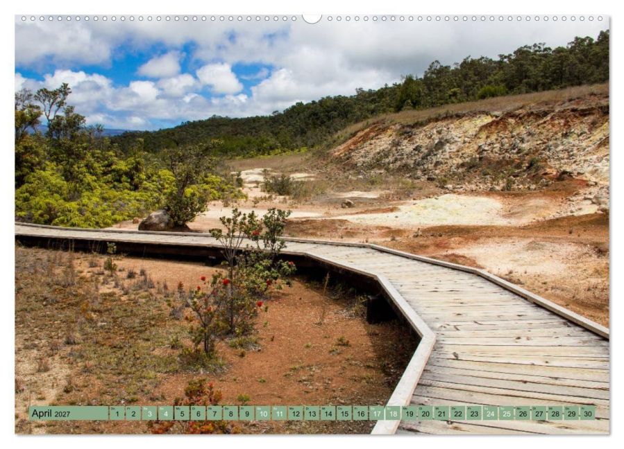 InsideView 8