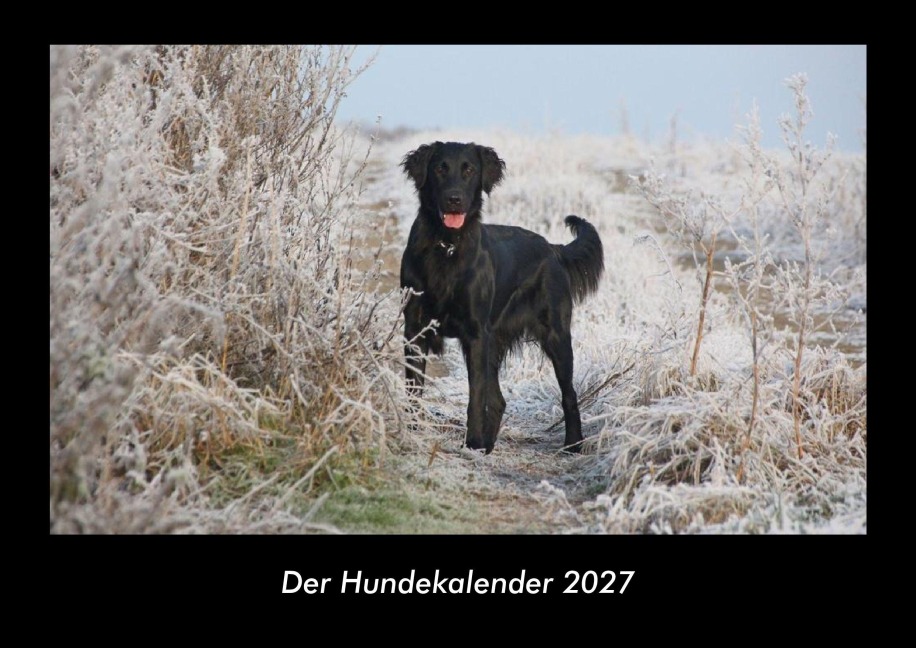 Der Hundekalender 2027 Fotokalender DIN A3 - Tobias Becker