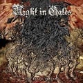 Cover-Bild zum Titel 'The Black Stream' von 'Night In Gales'