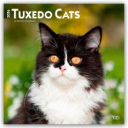 Cover-Bild zum Titel 'Tuxedo Cats - Tuxedo Katzen 2026 - 16-Monatskalender' von 'Browntrout Publishers'