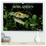 Cover-Bild zum Titel 'Schlangen (hochwertiger Premium Wandkalender 2026 DIN A2 quer), Kunstdruck in Hochglanz' von 'Benny Trapp'
