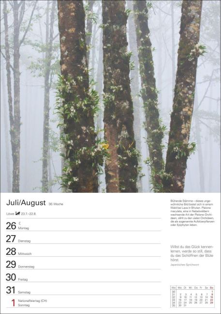 InsideView 11