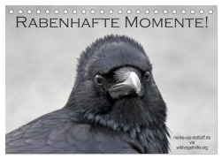 Rabenhafte Momente! (Tischkalender 2026 DIN A5 quer), CALVENDO Monatskalender - Meike Ajo. Dettlaff