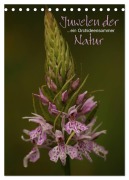 Juwelen der Natur - Ein Orchideensommer (Tischkalender 2026 DIN A5 hoch), CALVENDO Monatskalender - Dirk Stamm