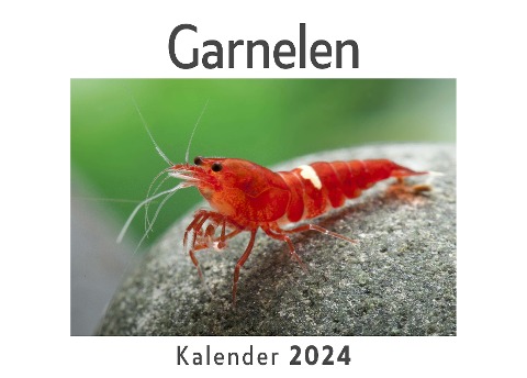 Garnelen (Wandkalender 2024, Kalender DIN A4 quer, Monatskalender im Querformat mit Kalendarium, Das perfekte Geschenk) - Anna Müller