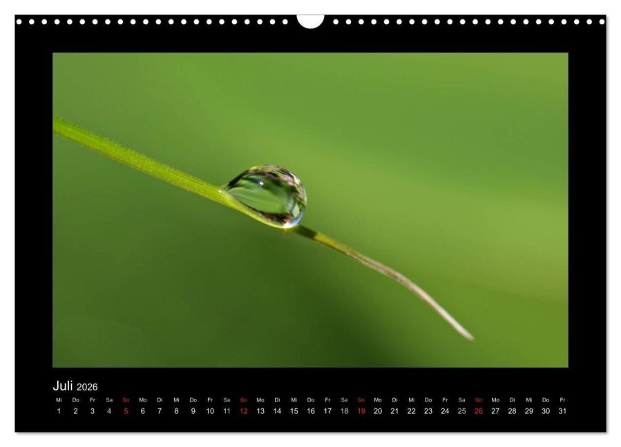InsideView 12