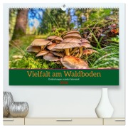 Vielfalt am Waldboden (hochwertiger Premium Wandkalender 2026 DIN A2 quer), Kunstdruck in Hochglanz - Torsten Irmer