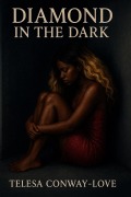Cover-Bild zum Titel 'Diamond in the Dark' von 'Telesa Conway Love'
