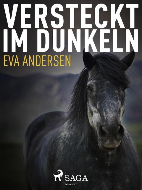 Versteckt im Dunkeln - Eva Andersen