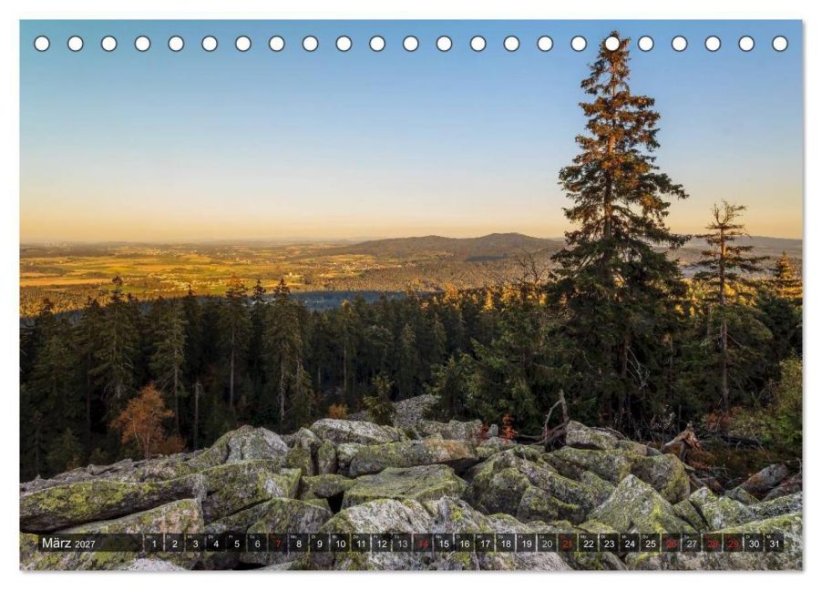 InsideView 8
