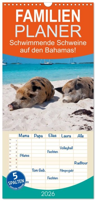 Familienplaner 2026 - Schwimmende Schweine auf den Bahamas! mit 5 Spalten (Wandkalender, 21 x 45 cm) CALVENDO - Elisabeth Stanzer