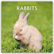 Rabbits - Hasen - Kaninchen 2026 - 16-Monatskalender - Robin Red