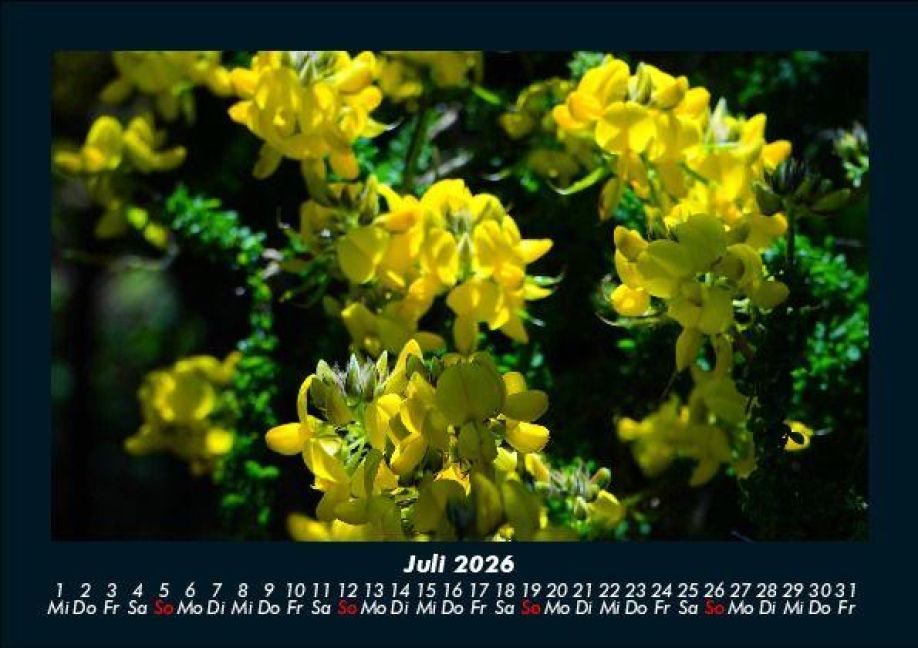 InsideView 11