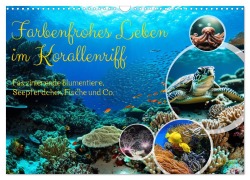 Cover-Bild zum Titel 'Farbenfrohes Leben im Korallenriff (Wandkalender 2026 DIN A3 quer), CALVENDO Monatskalender' von 'Claudia Kleemann'
