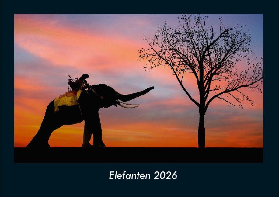 Elefanten 2026 Fotokalender DIN A4 - Tobias Becker