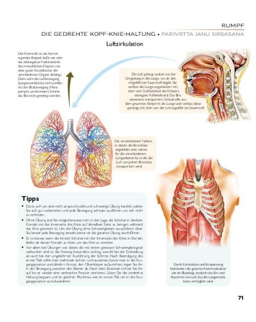 InsideView 11