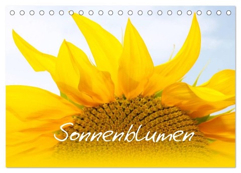 Sonnenblumen - die Blumen der Lebensfreude (Tischkalender 2024 DIN A5 quer), CALVENDO Monatskalender - Maria-Anna Ziehr