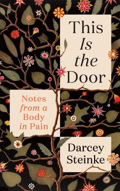 This Is the Door - Darcey Steinke