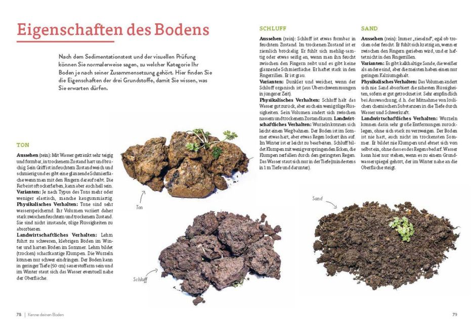 InsideView 5