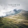 Enchanted Isle - Voces8