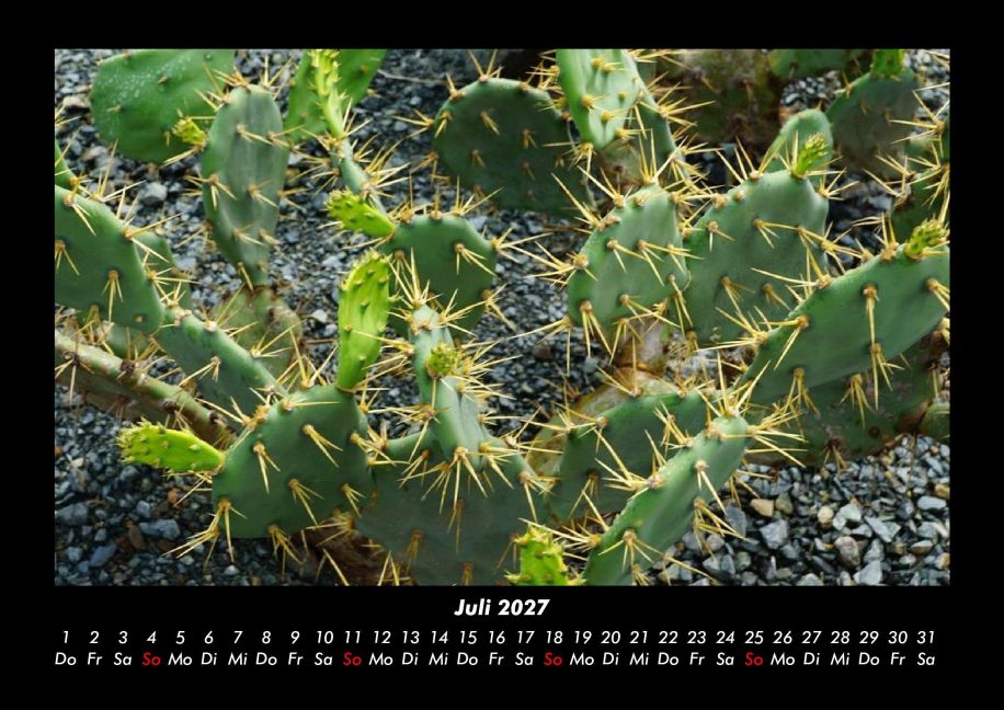 InsideView 11