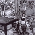 Cover-Bild zum Titel 'Here to live' von 'Andrea Bruins'