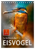 Schillernder Eisvogel (Tischkalender 2024 DIN A5 hoch), CALVENDO Monatskalender - Peter Roder