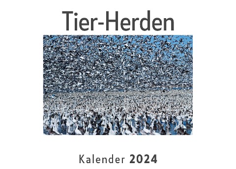 Tier-Herden (Wandkalender 2024, Kalender DIN A4 quer, Monatskalender im Querformat mit Kalendarium, Das perfekte Geschenk) - Anna Müller