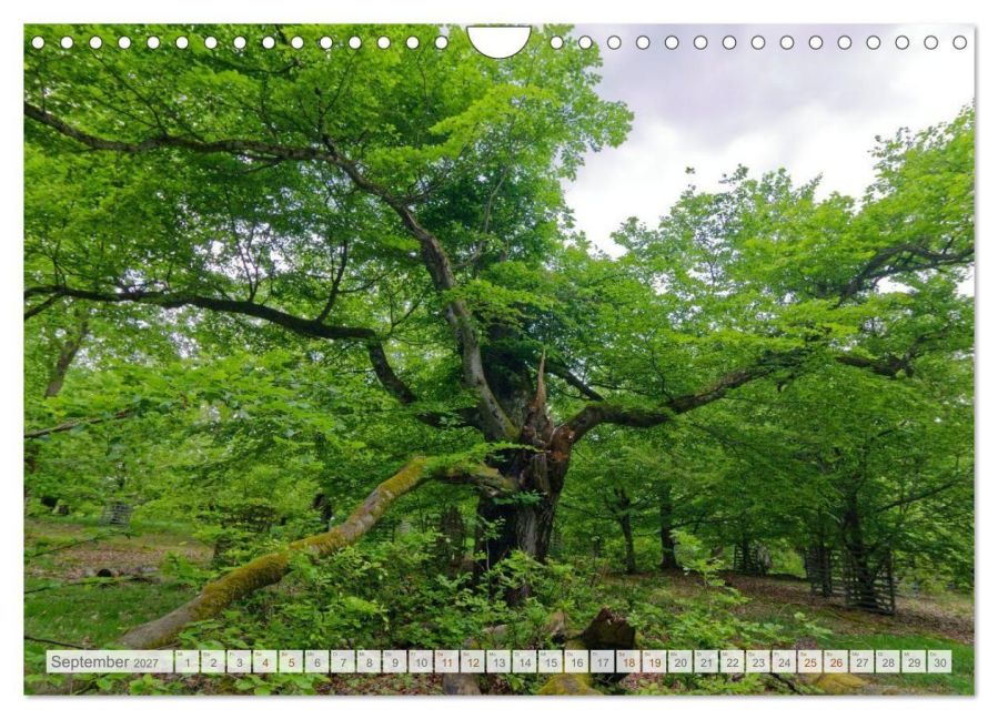 InsideView 14