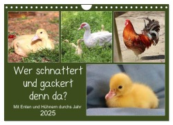 Wer gackert und schnattert denn da? Mit Enten und Hühnern durchs Jahr (Wandkalender 2025 DIN A4 quer), CALVENDO Monatskalender - Sabine Löwer