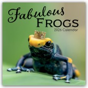 Fabulous Frogs - Fabelhafte Frösche 2026 - 16-Monatskalender - Gifted Stationery Co. Ltd