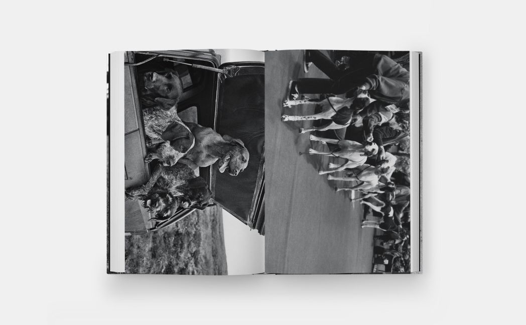 InsideView 5