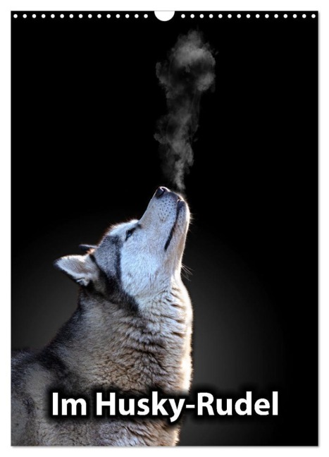 Im Husky-Rudel (Wandkalender 2026 DIN A3 hoch), CALVENDO Monatskalender - Sophie Luther