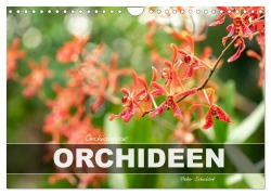 Cover-Bild zum Titel 'Orchidaceae - Orchideen (Wandkalender 2026 DIN A4 quer), CALVENDO Monatskalender' von 'Peter Schickert'