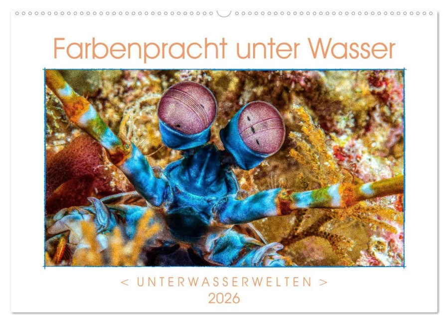 Farbenpracht unter Wasser (Wandkalender 2026 DIN A2 quer), CALVENDO Monatskalender - Dieter Gödecke