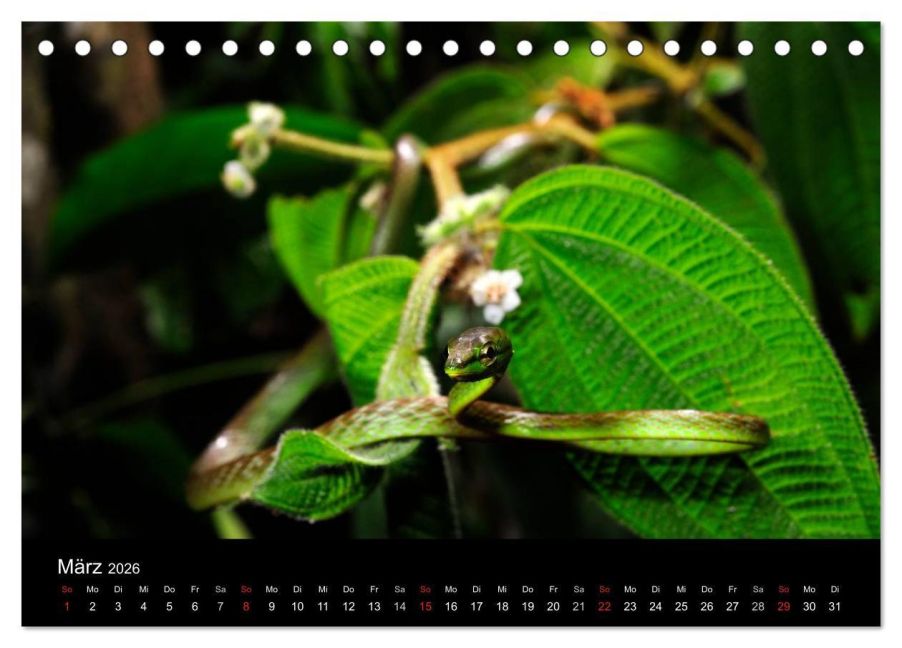 InsideView 8