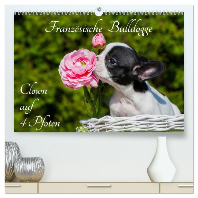 Französische Bulldogge - Clown auf 4 Pfoten (hochwertiger Premium Wandkalender 2026 DIN A2 quer), Kunstdruck in Hochglanz - Sigrid Starick