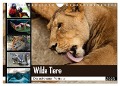 Wilde Tiere - Die schönsten Portraits (Wandkalender 2025 DIN A4 quer), CALVENDO Monatskalender - Sylke Enderlein - Bethari Bengals