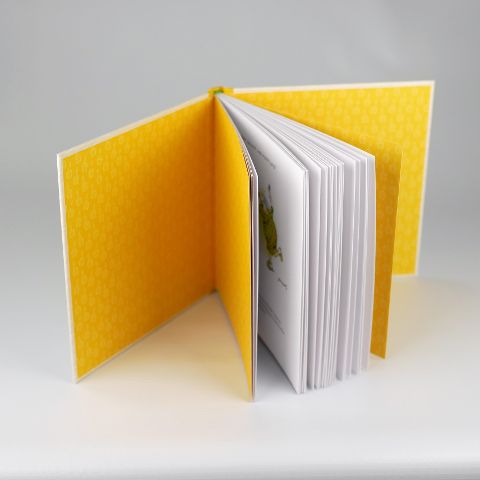InsideView 4