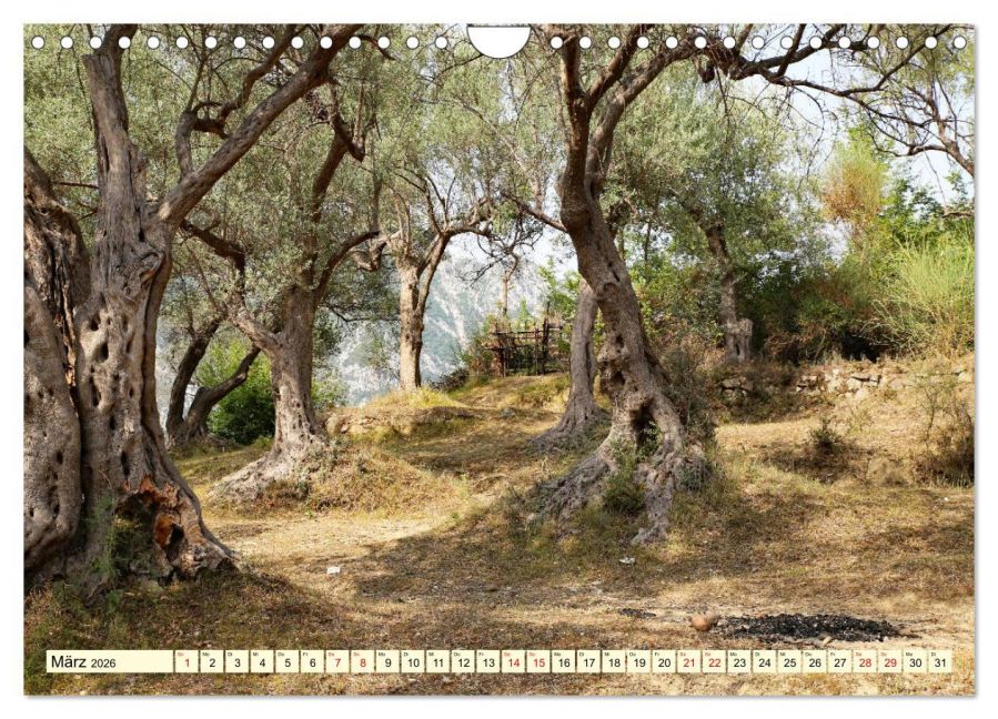 InsideView 8