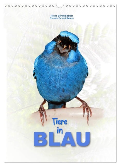 Tiere in Blau (Wandkalender 2024 DIN A3 hoch), CALVENDO Monatskalender - Heinz Schmidbauer