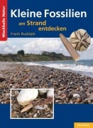 Cover-Bild zum Titel 'Kleine Fossilien am Strand entdecken' von 'Frank Rudolph'
