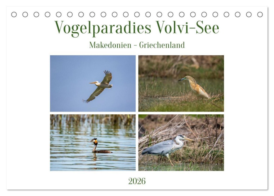 Vogelparadies Volvi-See (Tischkalender 2026 DIN A5 quer), CALVENDO Monatskalender - Ursula Di Chito