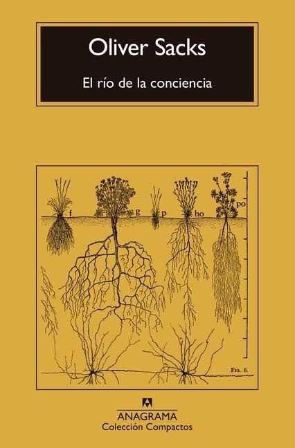 El Rio de la Conciencia - Oliver Sacks