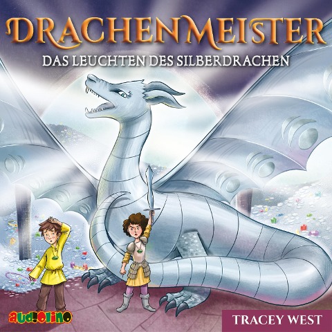 Drachenmeister (11) - Tracey West