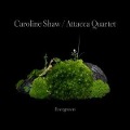 Cover-Bild zum Titel 'Caroline Shaw:Evergreen' von 'Caroline/Attacca Quartet Shaw'
