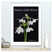 Cover-Bild zum Titel 'Poesie weißer Blüten (hochwertiger Premium Wandkalender 2026 DIN A2 hoch), Kunstdruck in Hochglanz' von 'Gisela Kruse'